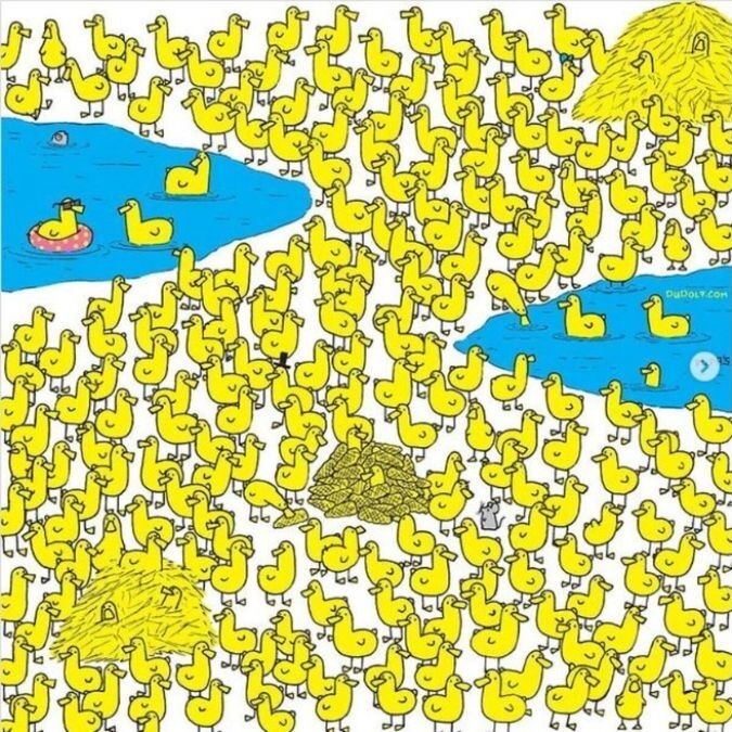 Знайдіть курча на малюнку: завдання не з простих