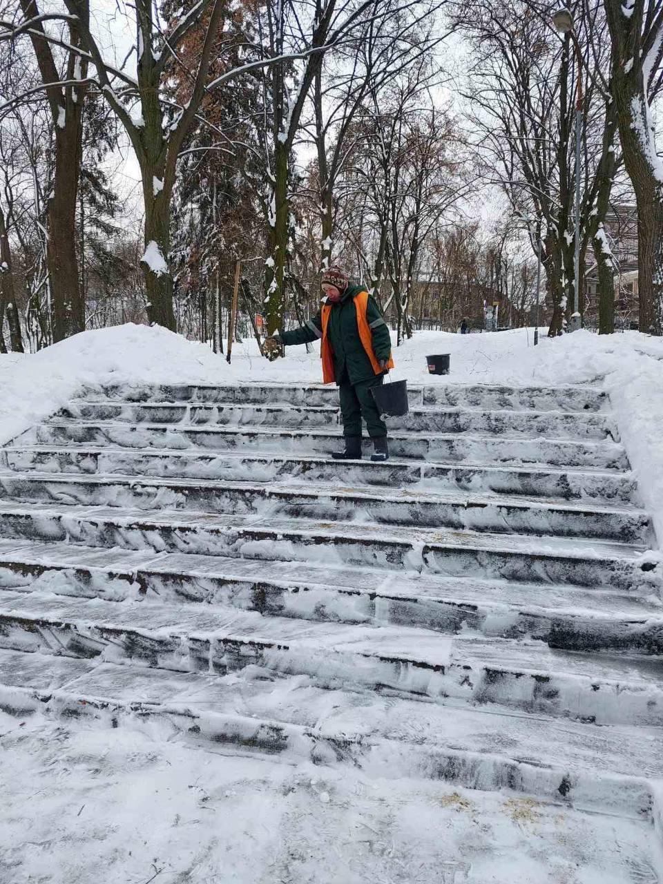 Привлечено более 400 единиц спецтехники: в КГГА рассказали, как в Киеве борются со снегом. Фото и видео
