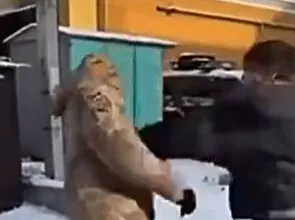 "Ему позволено все": в ТЦК отреагировали на нападение футболиста "Колоса" на военного