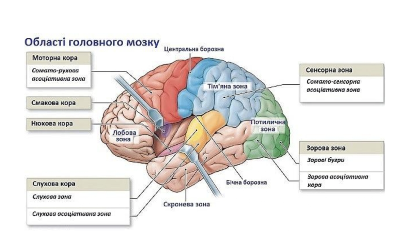 Каждый второй подросток в Украине не знает математики: какие причины и на что следует обратить внимание родителям будущих школьников