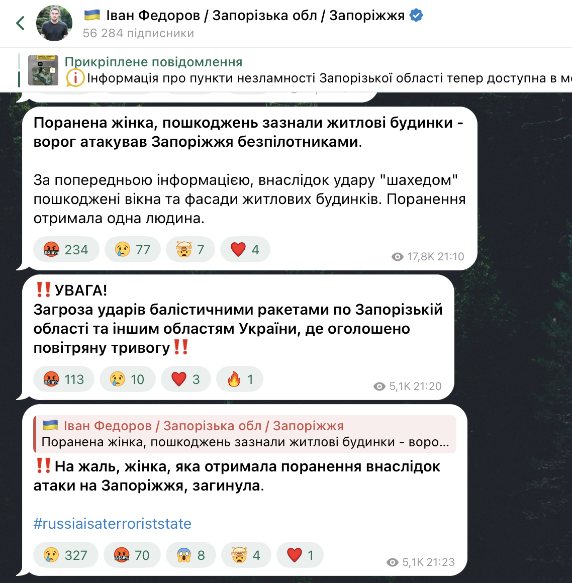 Окупанти вдарили "Шахедом" по Запоріжжю: загинула жінка, шість поранених, пошкоджено будинки. Фото