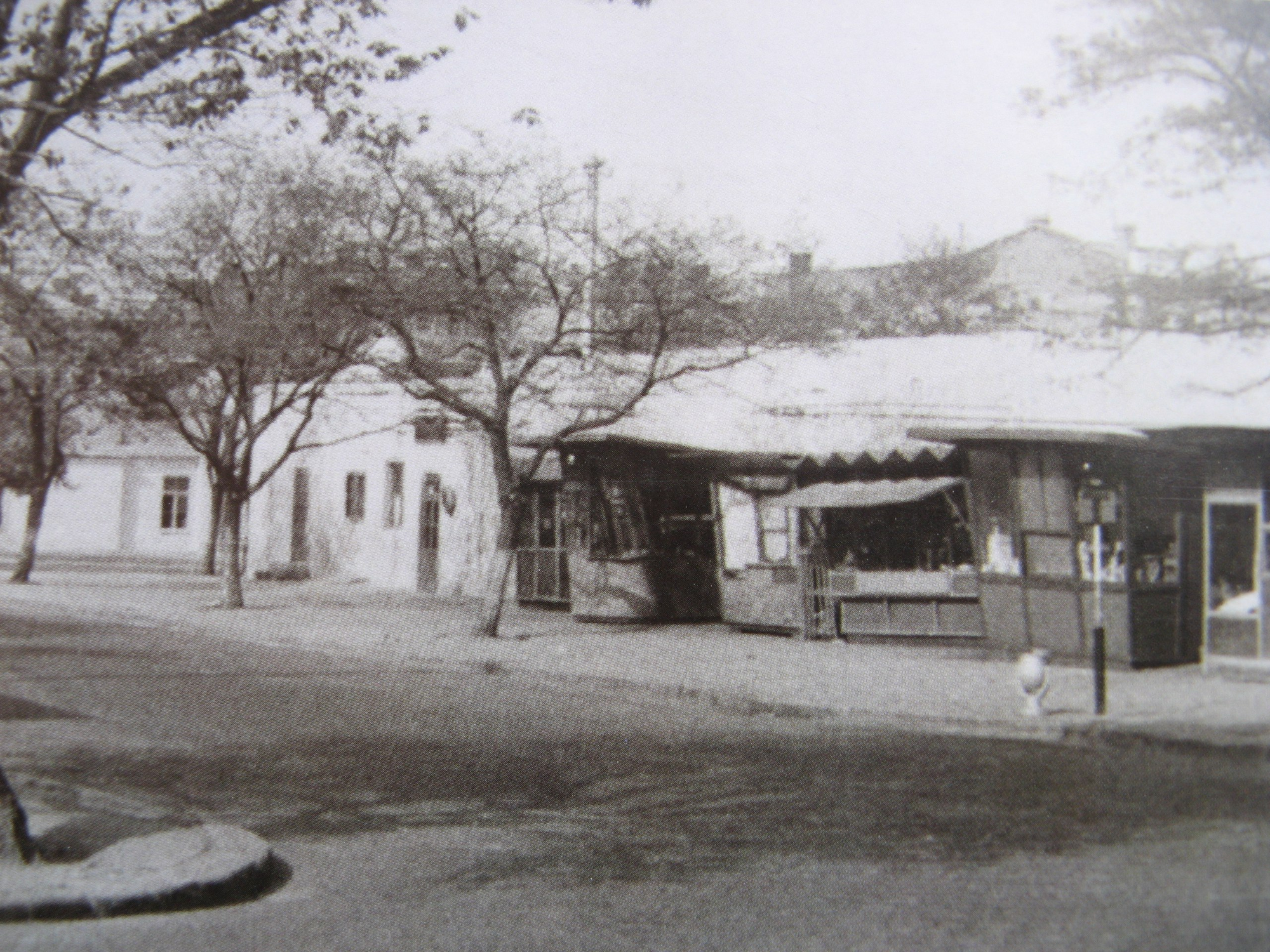 Этот квартал снесли: в сети показали архивные фото Одессы