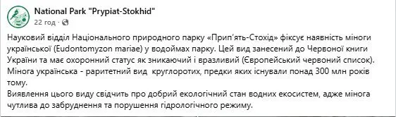 "Існували понад 300 млн років тому": на Волині у воді помітили істоту-"вампіра" часів динозаврів. Фото