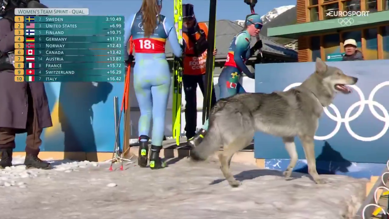 "Галюцинація", що вибігла на трасу, ледь не зірвала лижну гонку Олімпіади-2026. Відео