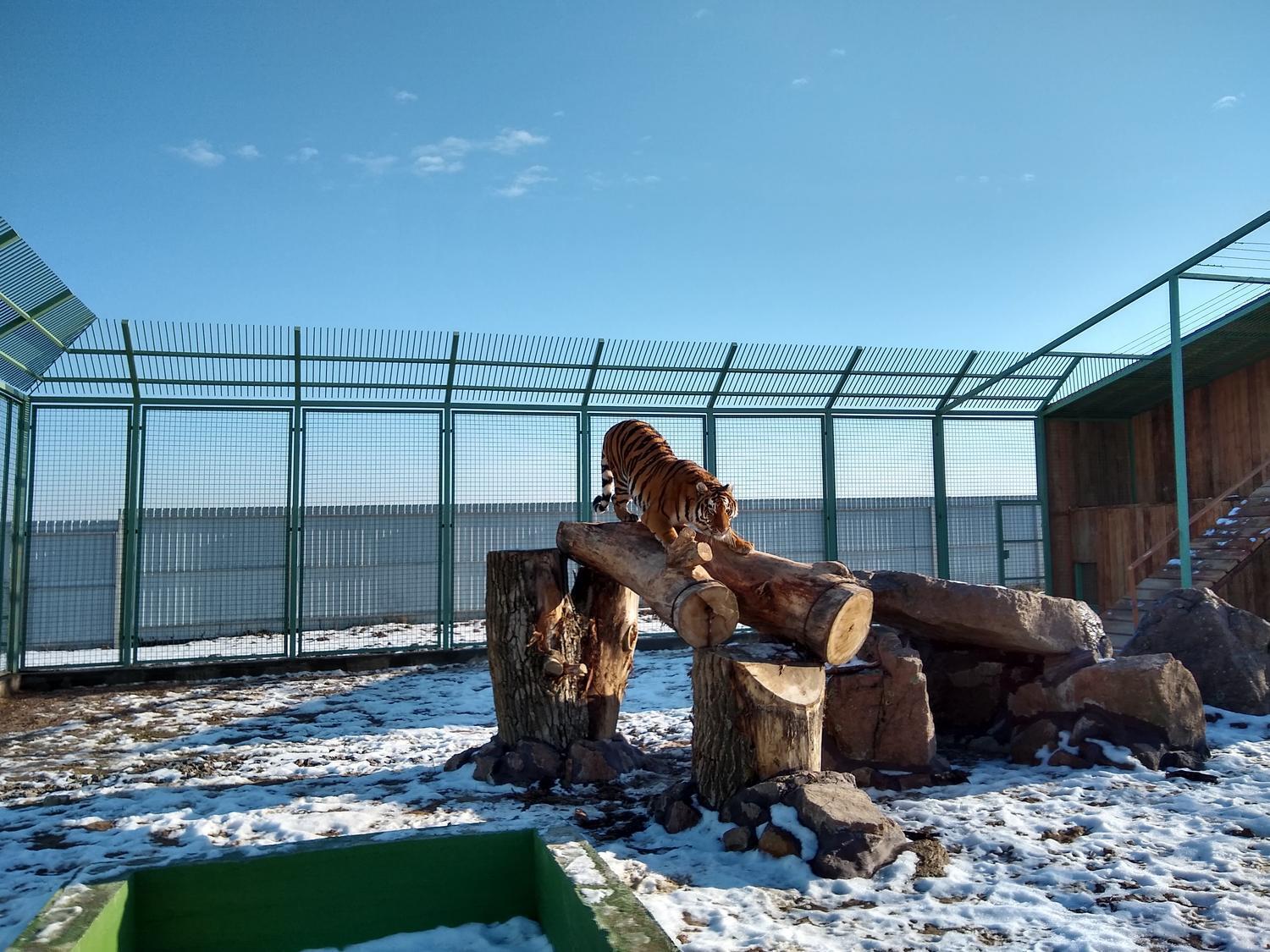 Зима 2026: як зоопарк "XII місяців" пережив морози до -25 °C та готується до нового сезону