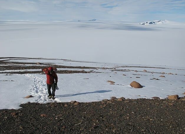 В Антарктиде нашли странные розовые камни: ученым удалось раскрыть их тайну