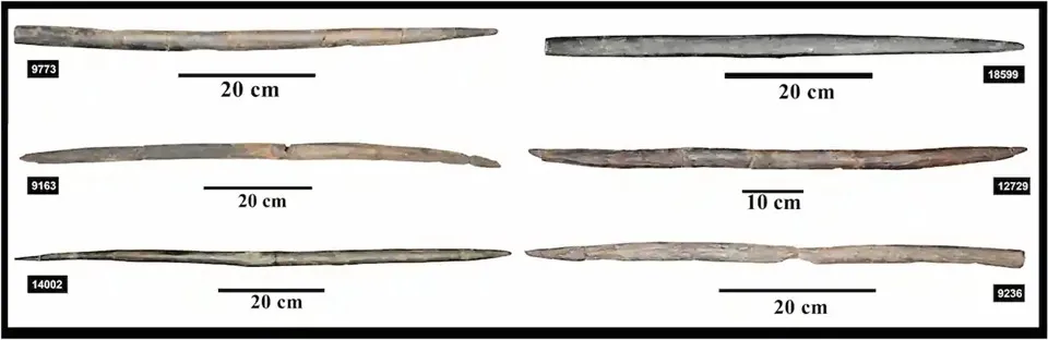 В Італії археологи знайшли затоплене селище: там була унікальна зброя. Фото