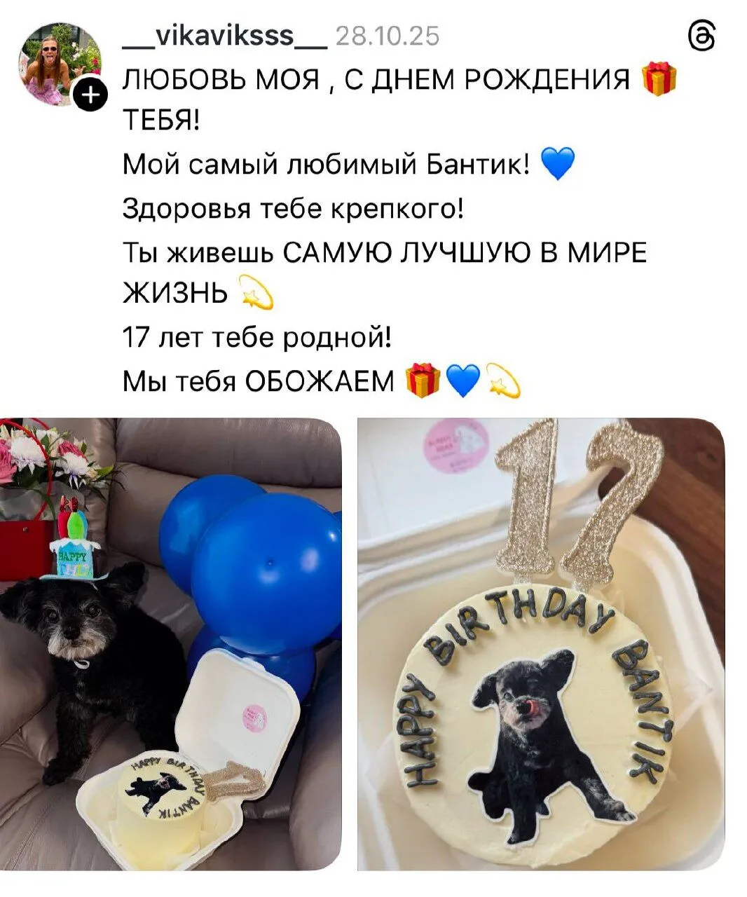 Задекларованого майна Вікторія не має