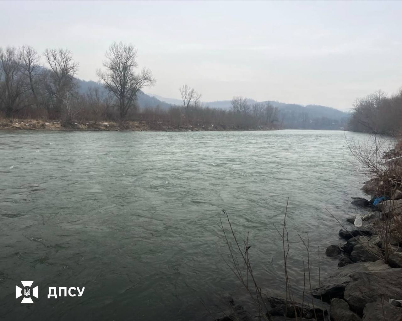 Втікав до Румунії від правосуддя: прикордонники затримали та передали поліції ґвалтівника. Фото