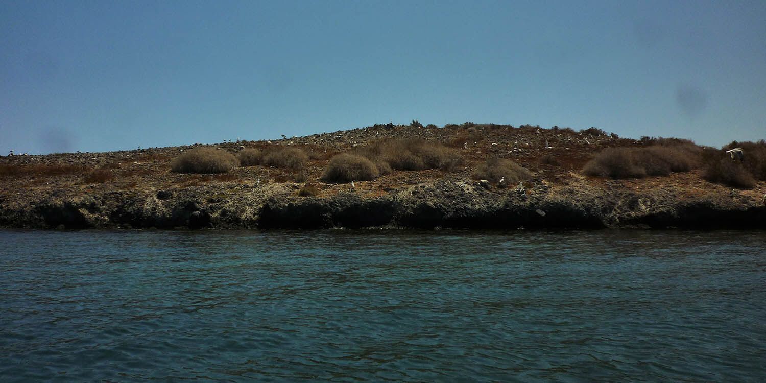 В Испании есть острова-призраки, на которые трудно попасть: чем особенны