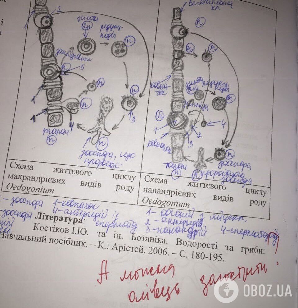 Поставили двойку за спор с преподавателем и отказ мыть пол: украинцы делятся криком души из-за несправедливых оценок