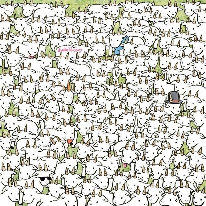 Найдите овцу: головоломка для самых внимательных