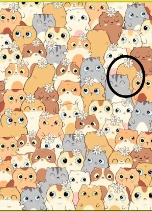 Знайдіть картоплину: весела головоломка