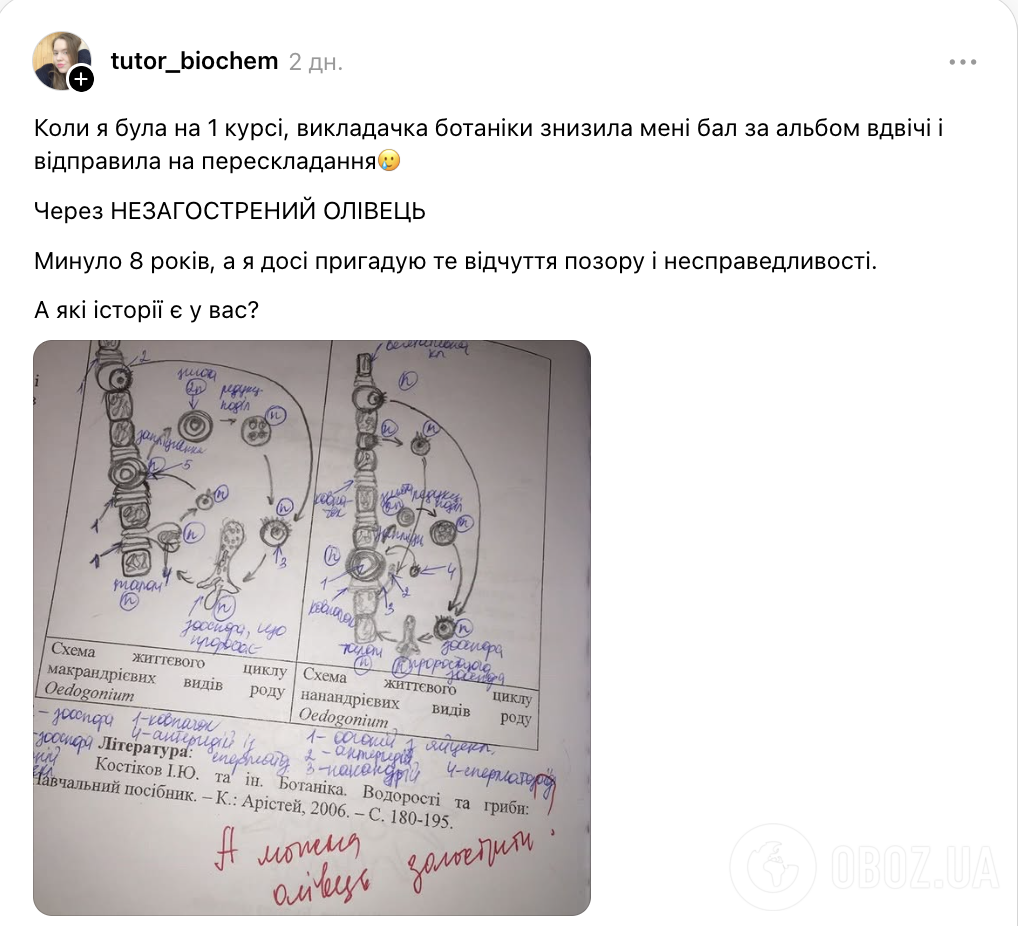 Поставили двойку за спор с преподавателем и отказ мыть пол: украинцы делятся криком души из-за несправедливых оценок