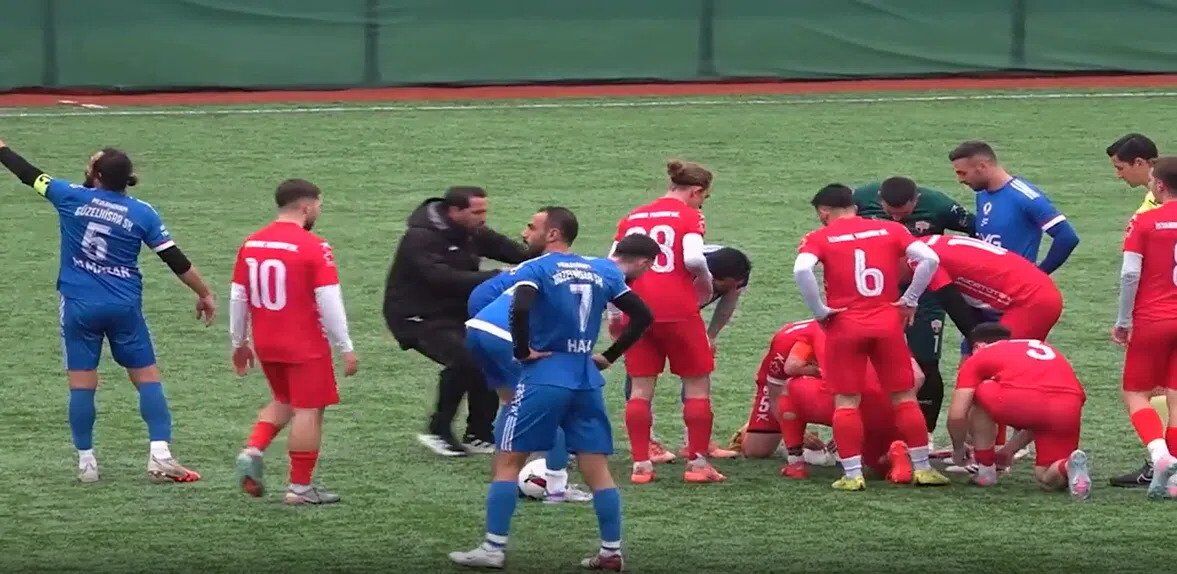 В Турции вратарь, выбивая мяч, сбил чайку и стал делать ей массаж сердца. Птица ожила. Видео