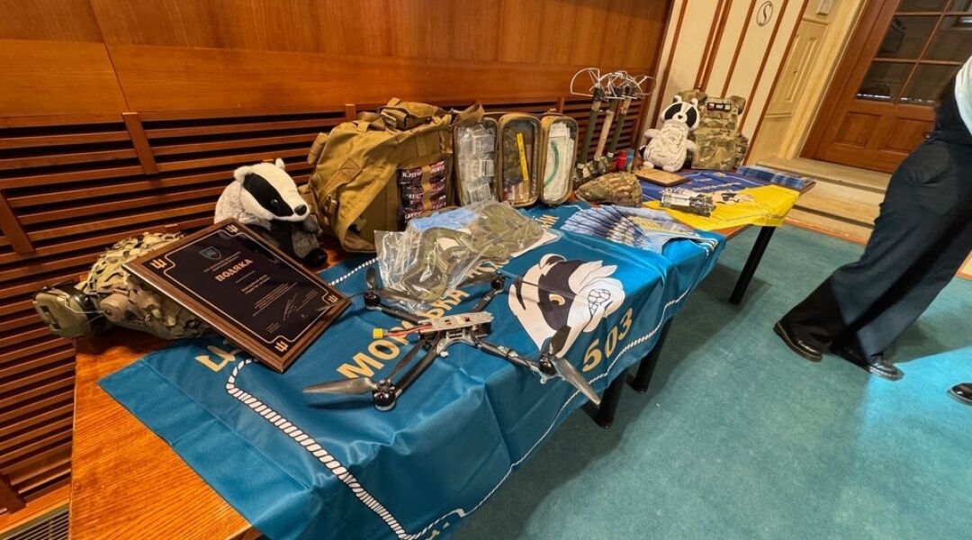 "Це не благодійність, а інвестиція": у чеському Сенаті обговорили допомогу Україні