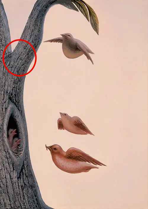 Що побачили першим? Тест розкриє ваші заповітні бажання