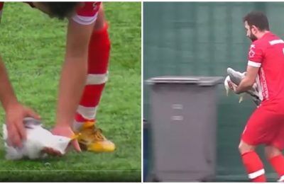 В Турции вратарь, выбивая мяч, сбил чайку и стал делать ей массаж сердца. Птица ожила. Видео