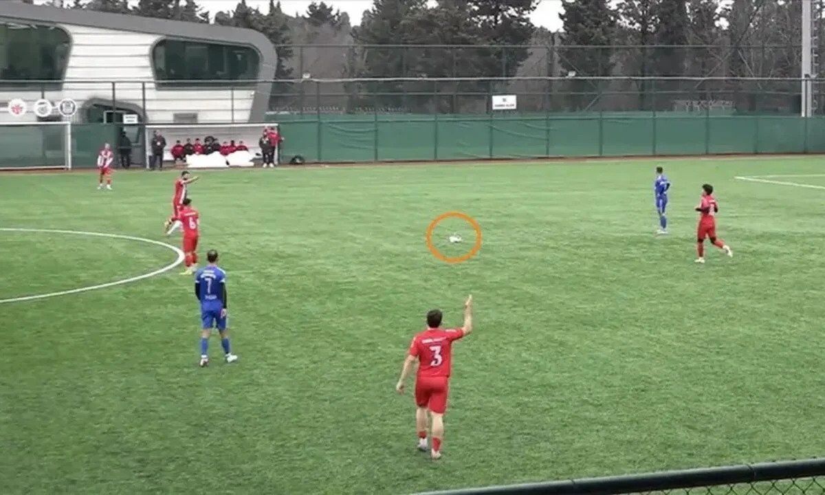 В Турции вратарь, выбивая мяч, сбил чайку и стал делать ей массаж сердца. Птица ожила. Видео