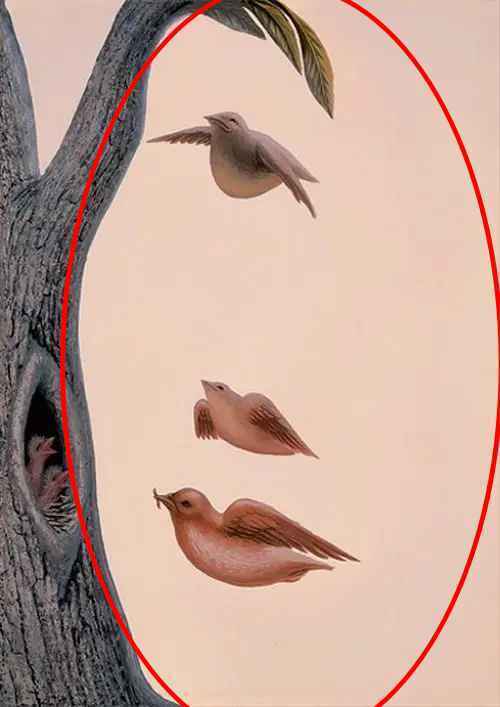 Що побачили першим? Тест розкриє ваші заповітні бажання