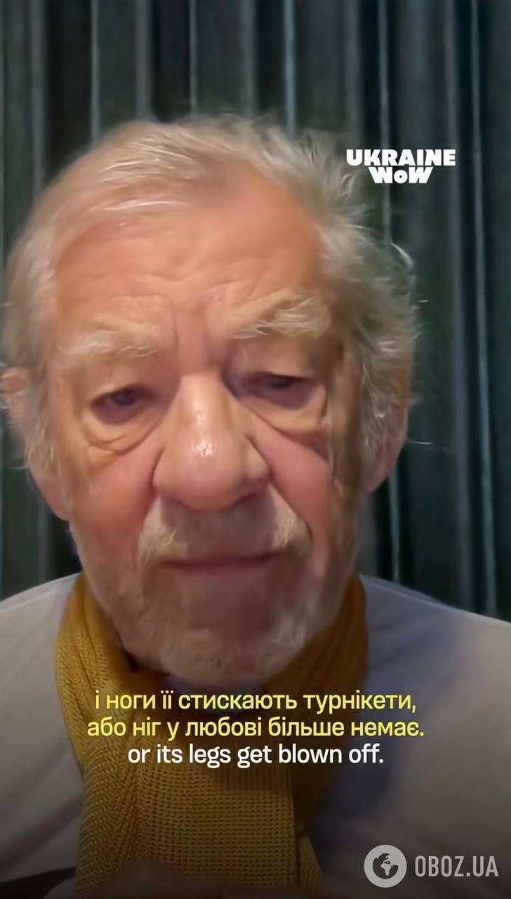 Зірки Голлівуду продекламували вірші українських героїв і розчулили мережу. Відео