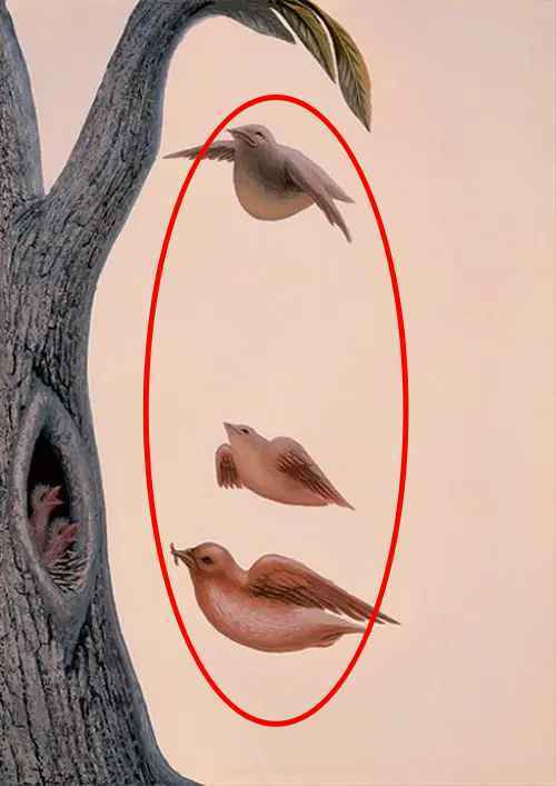 Що побачили першим? Тест розкриє ваші заповітні бажання