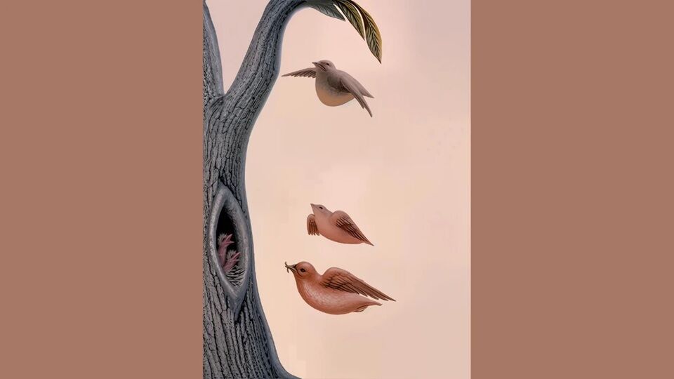 Що побачили першим? Тест розкриє ваші заповітні бажання