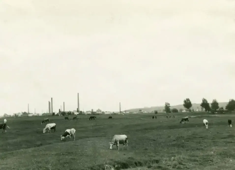 Місто нафтових родовищ: яким був Борислав на Львівщині в 1934 році