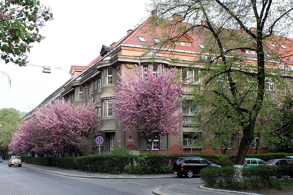 Тунель кохання, "українська Венеція" та водоспади: куди поїхати в Україні навесні