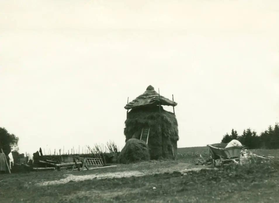 Місто нафтових родовищ: яким був Борислав на Львівщині в 1934 році