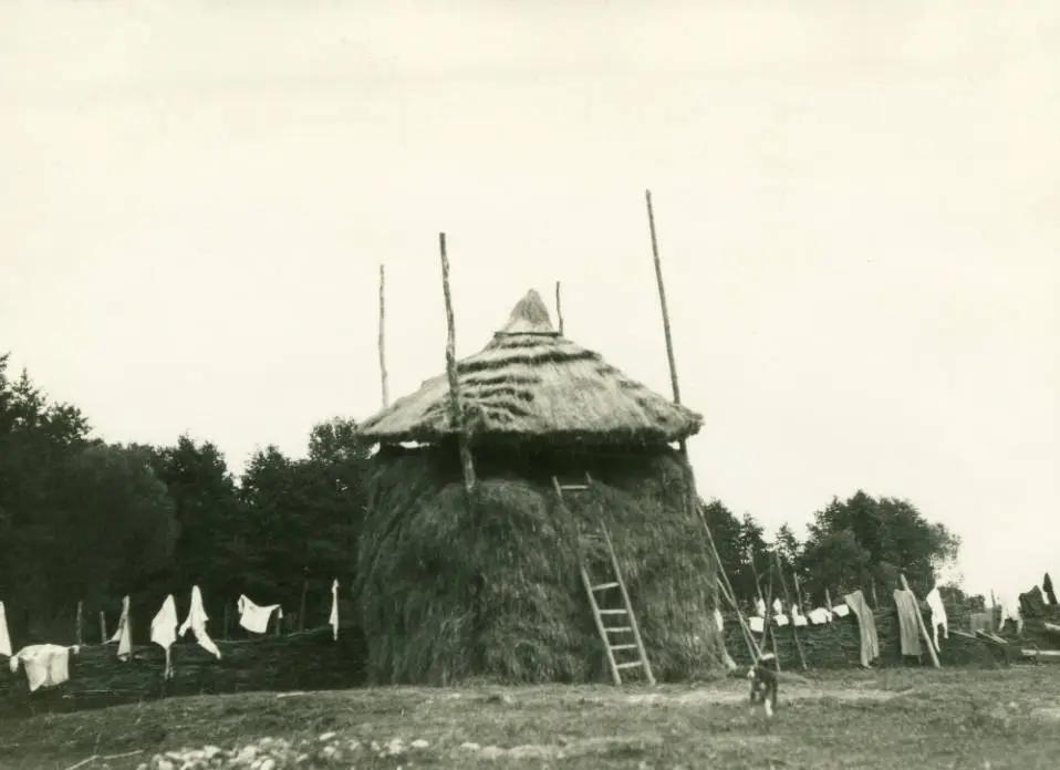 Місто нафтових родовищ: яким був Борислав на Львівщині в 1934 році