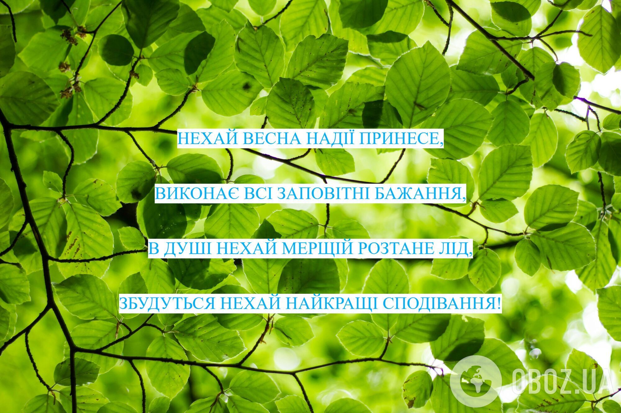 С первым днем весны: поздравления и красивые картинки к 1 марта