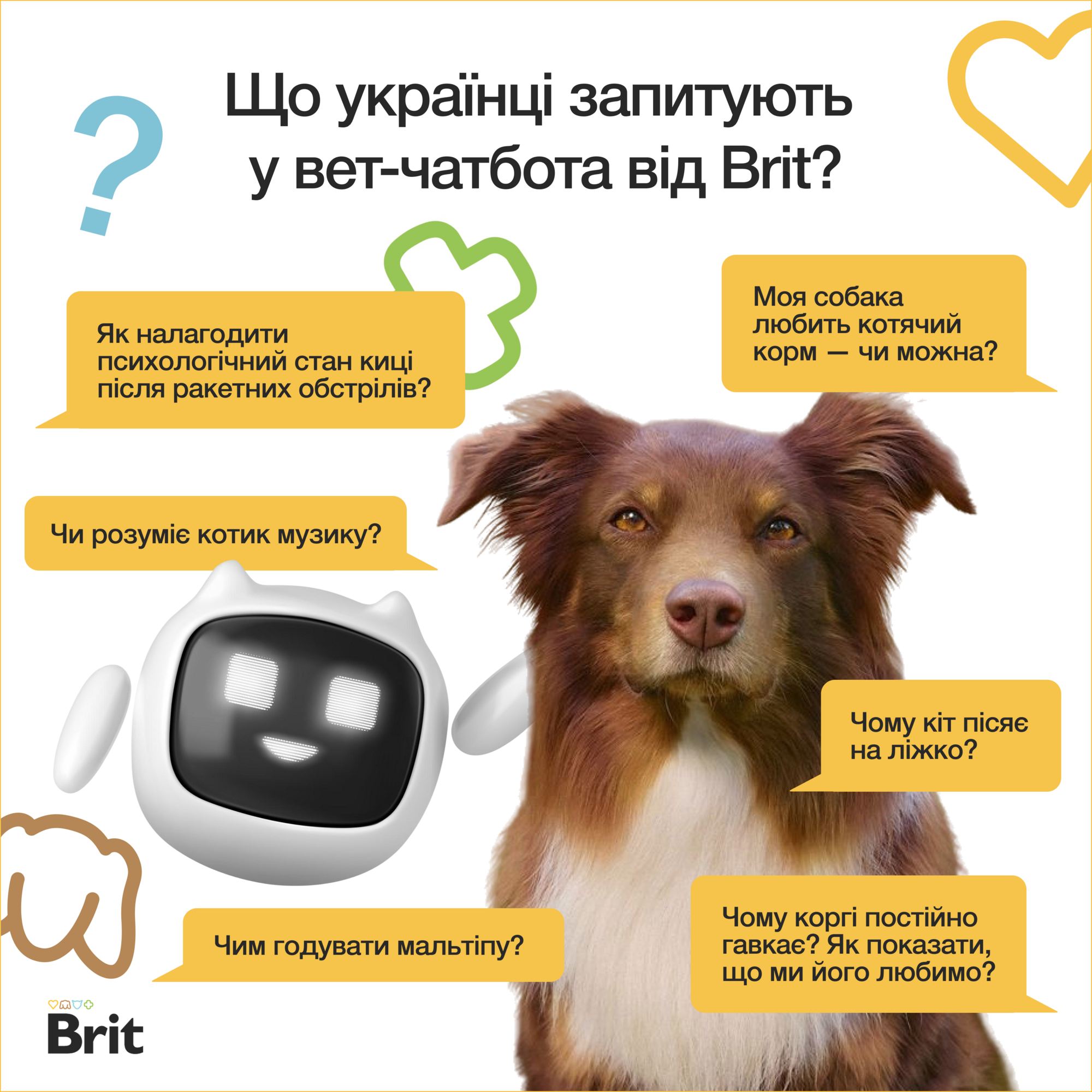 Brit запустив оновлений чатбот для власників котів і собак: тисячі петперентів користуються ним замість Google і GPT