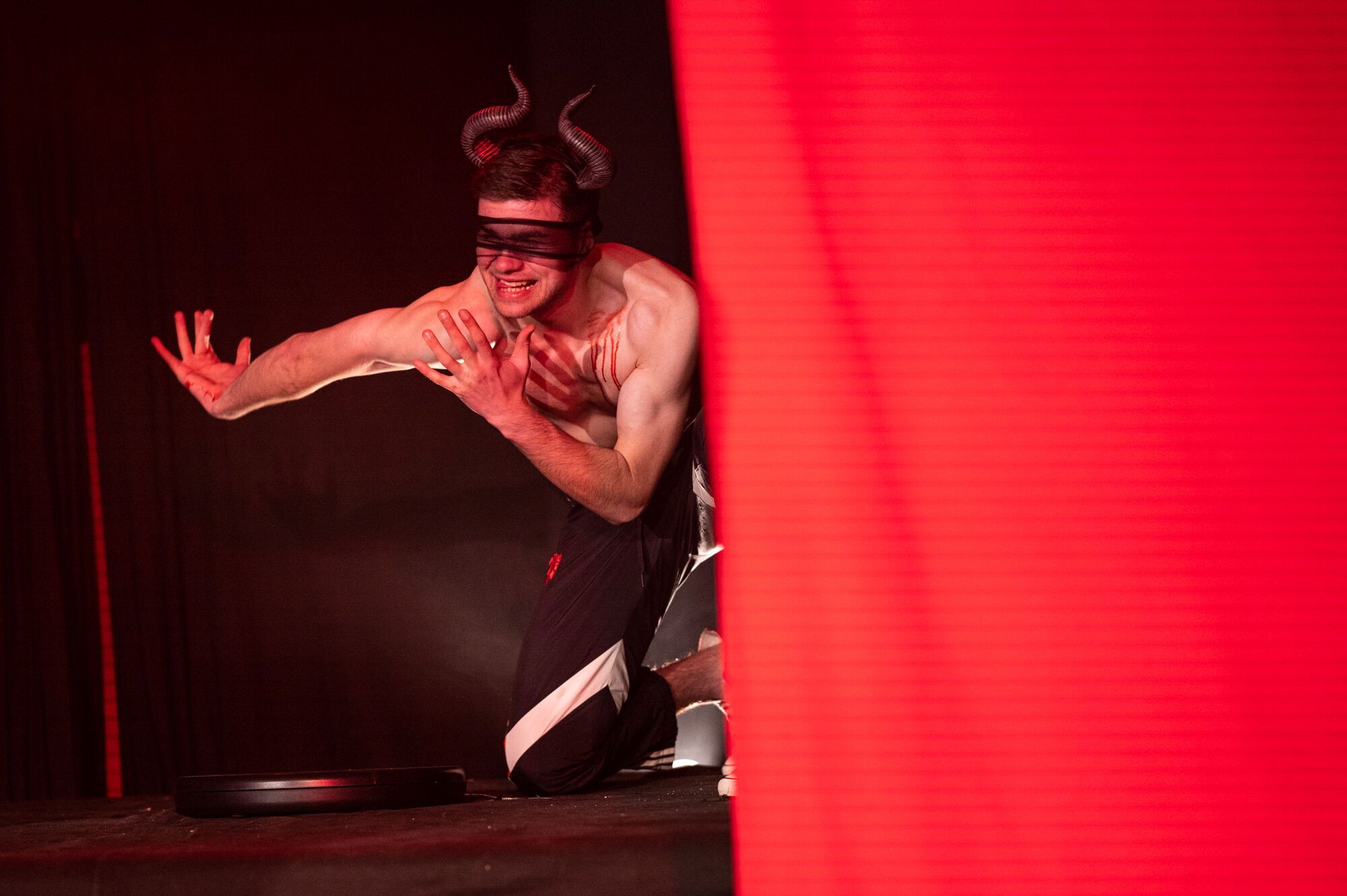 Портрет художника в зрілості