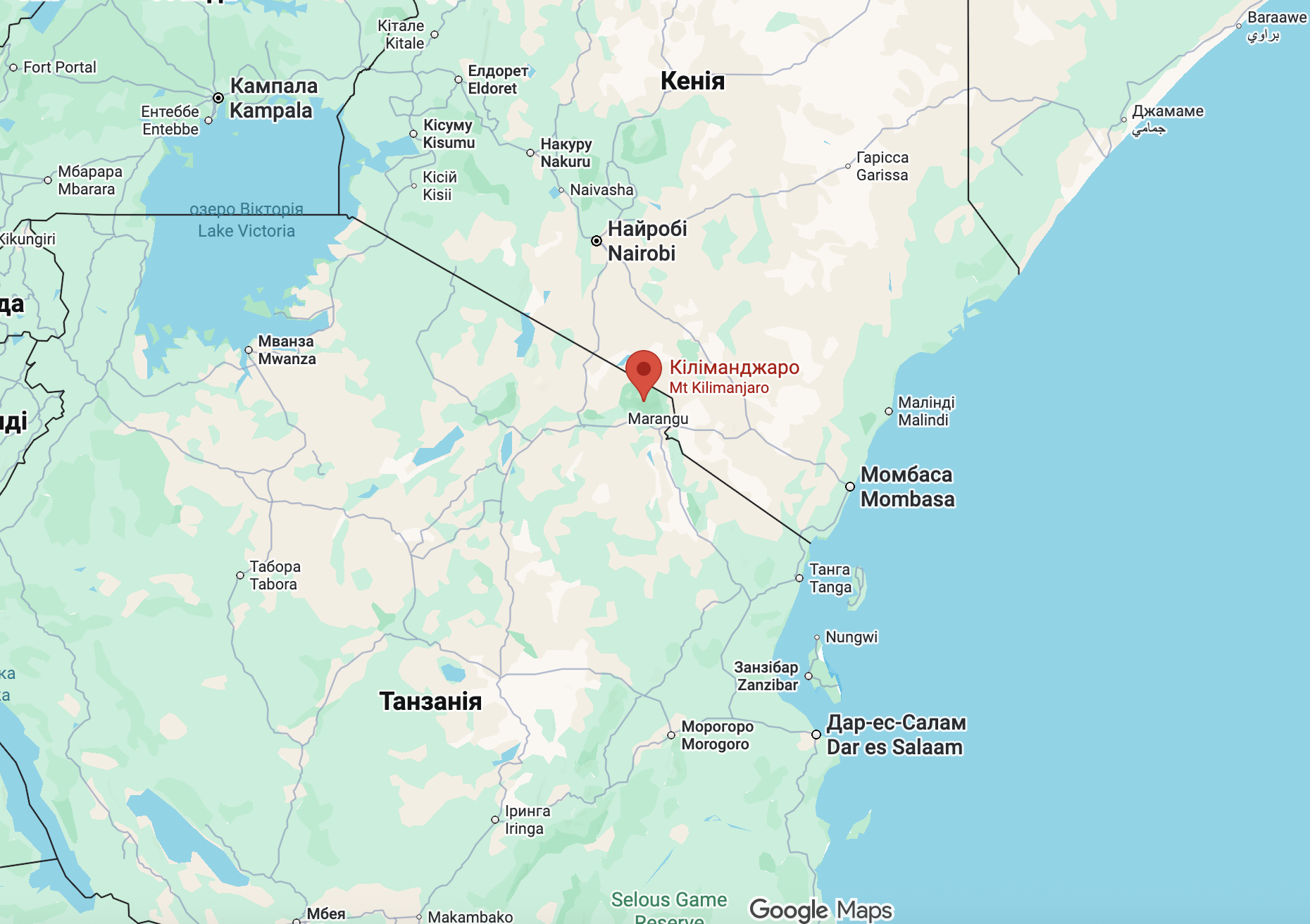 Украинец развернул государственный флаг на вершине Килиманджаро и попал в Книгу рекордов. Фото