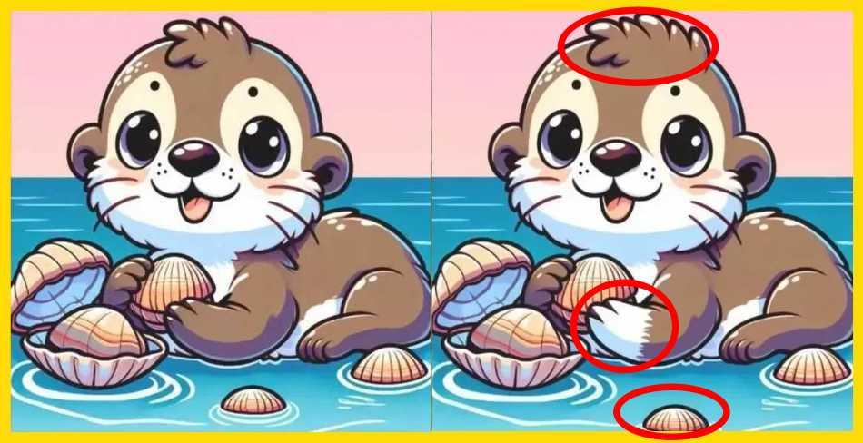 Знайдіть 3 відмінності: мила візуальна головоломка із видрою