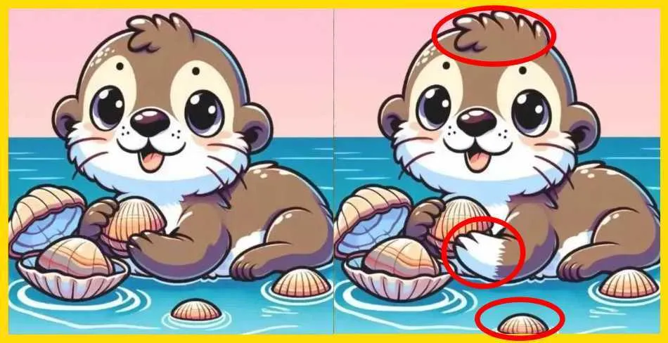 Головоломка на 30 секунд: знайдіть усі відмінності