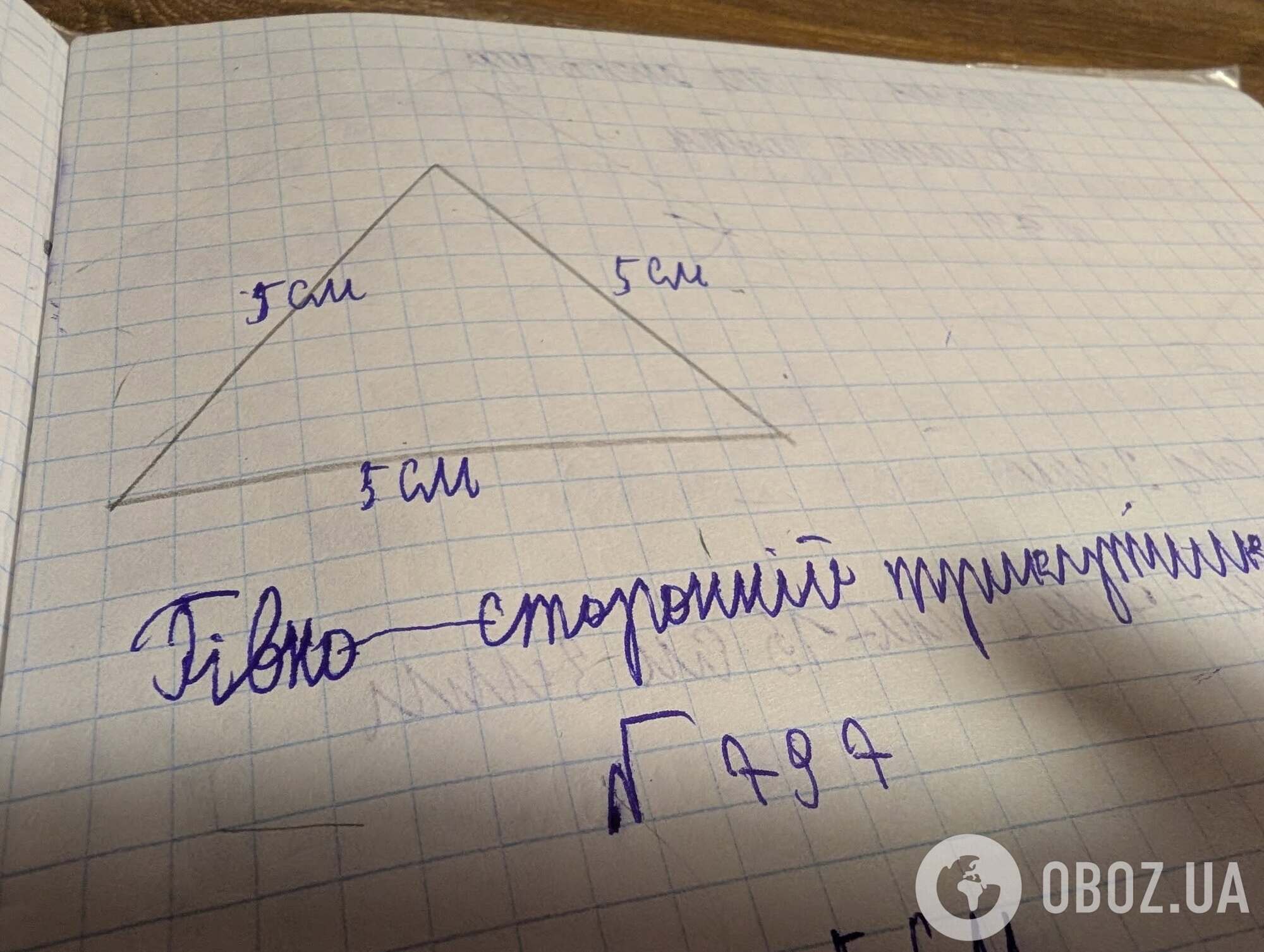 "Гівняння", "батьківське сборіще" і "дяпел, який живе в сісі": перли школярів у зошитах довели мережу до істерики