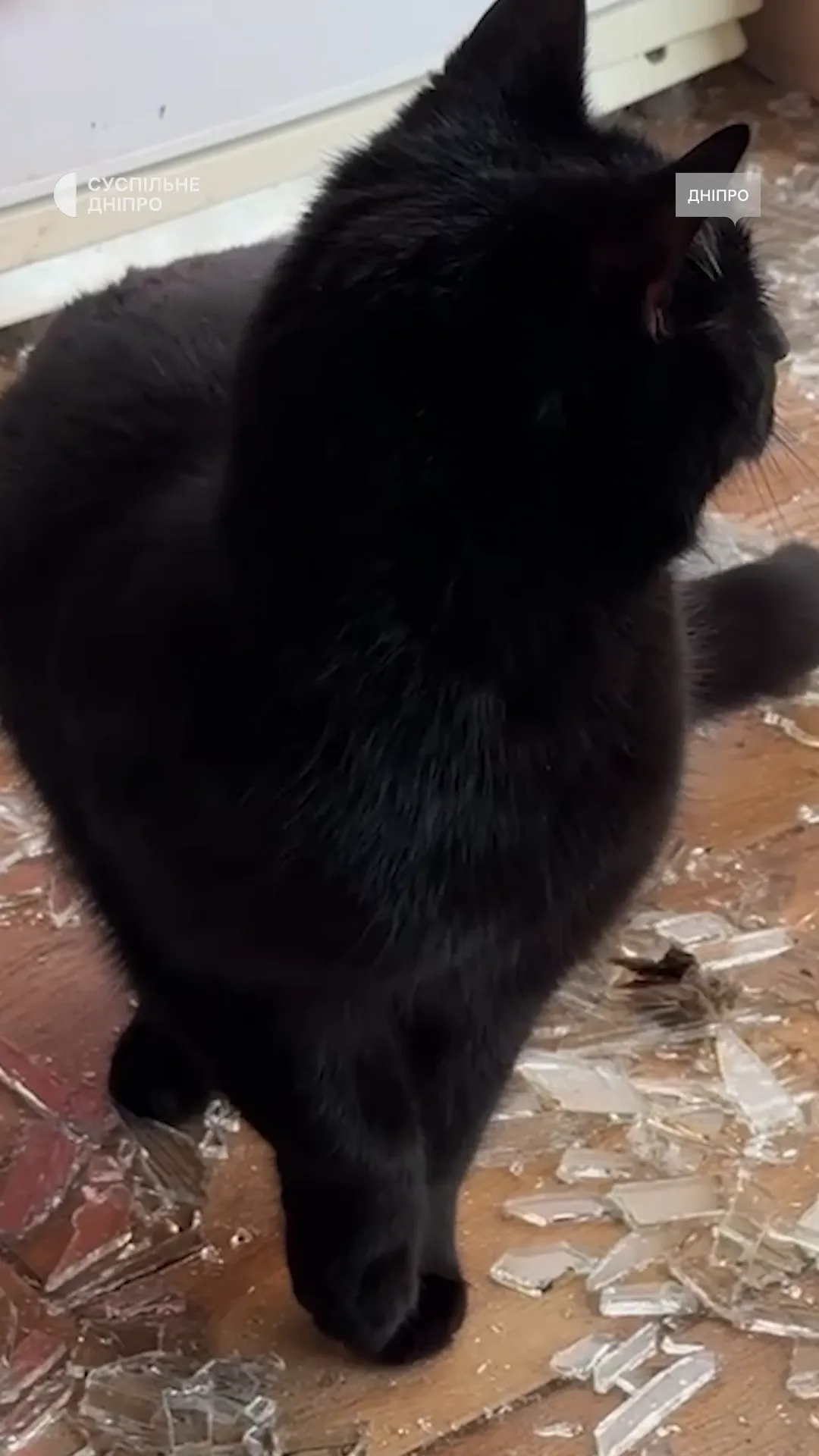 "Хрен вы нас запугаете, Бог на нашей стороне": жительница Днепра, которая чудом уцелела во время атаки РФ, обратилась к россиянам. Видео