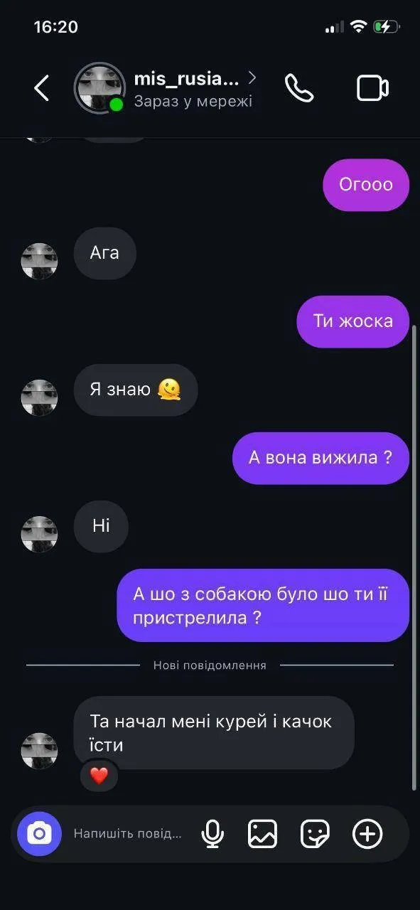 "Жаль, что у меня был один патрон": на Житомирщине 16-летняя девушка выстрелила в собаку из винтовки и сняла все на видео