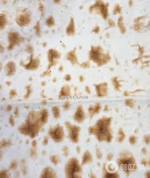 Рулет із лаваша з крабовою начинкою: рецепт дуже смачної та бюджетної закуски