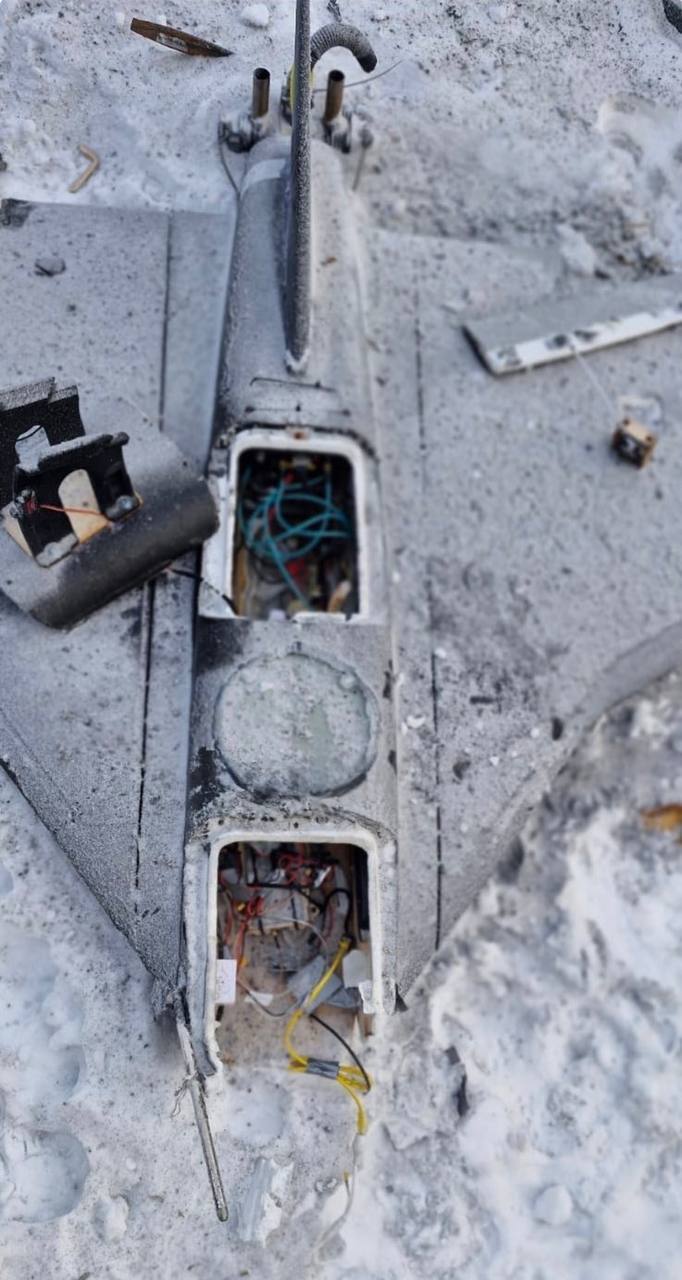 Військові зафіксували перше використання БпЛА "Гербера" в ролі носія FPV-дрона. Фото