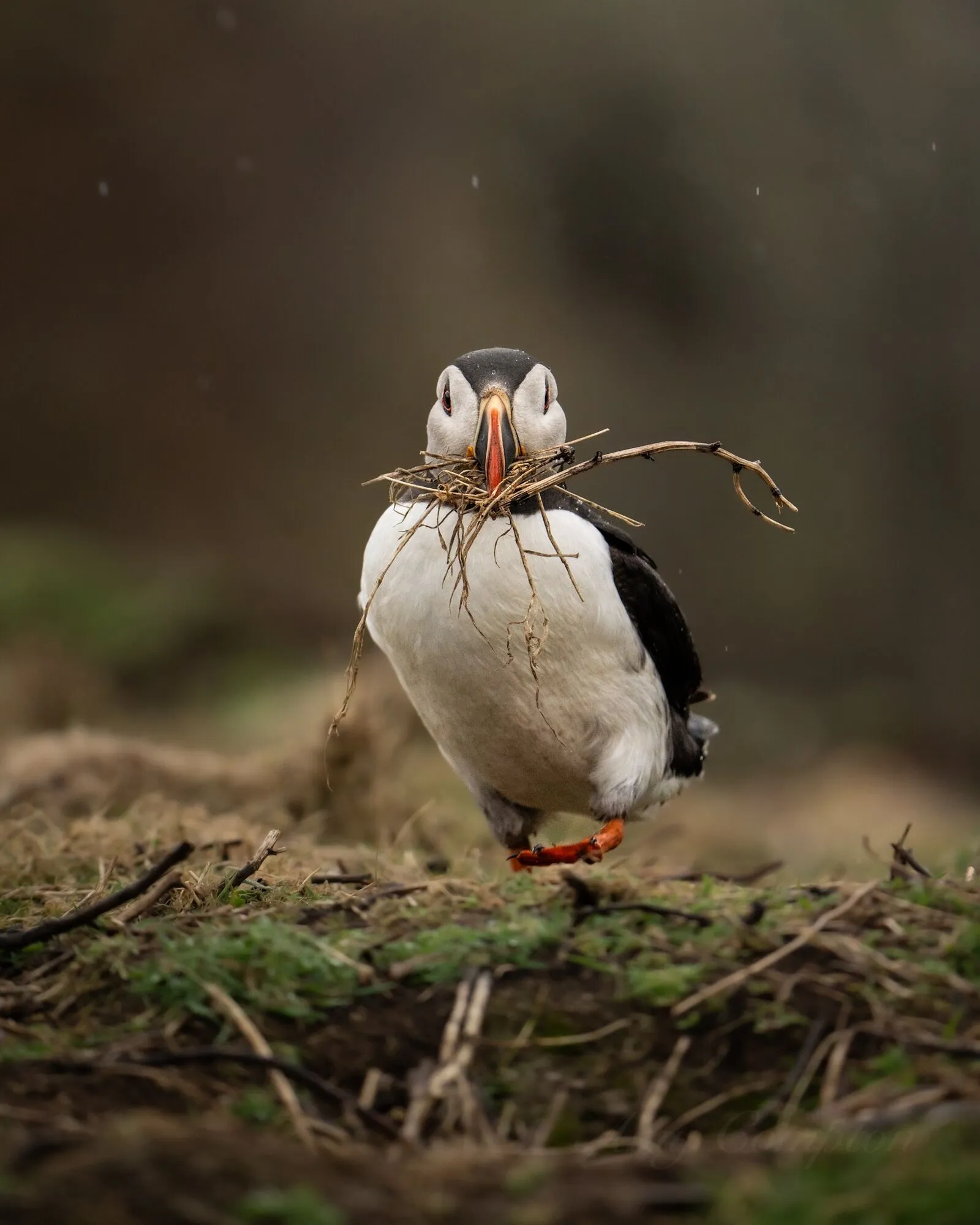 Уникальный остров приглашает волонтеров бесплатно там пожить: какие условия