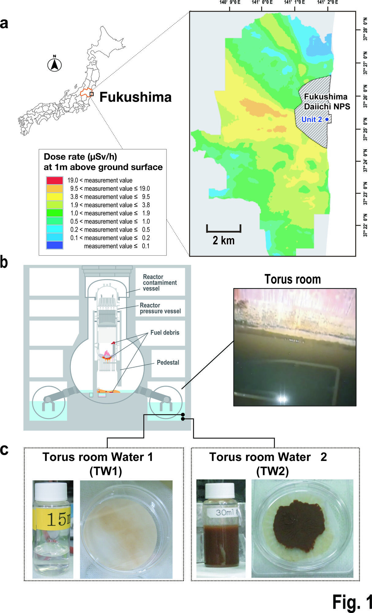 Ученые нашли "что-то странное" под реакторами Фукусимы: что их озадачило
