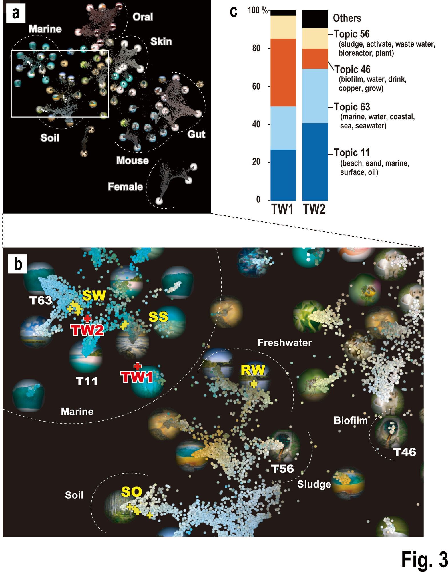 Ученые нашли "что-то странное" под реакторами Фукусимы: что их озадачило