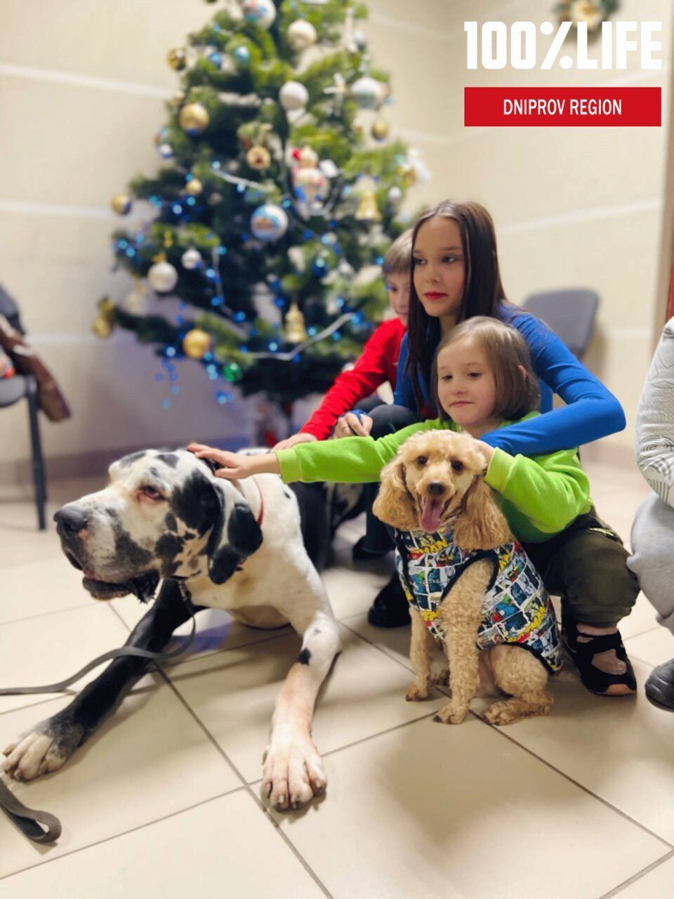 БО "100% Життя" Дніпровський регіон" отримала 75 000 євро від Purina на каністерапію у прифронтових громадах України