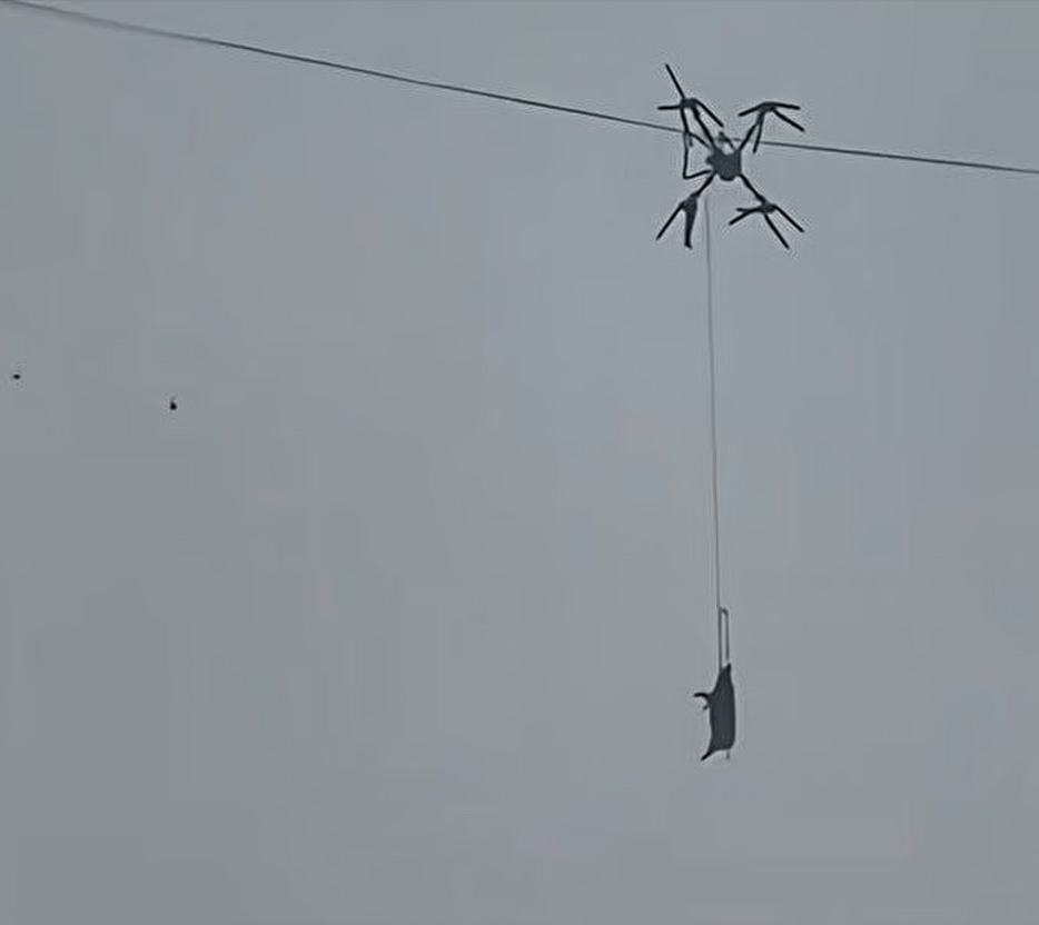 В Китае село осталось без света из-за свиньи на дроне: фермера хотят наказать