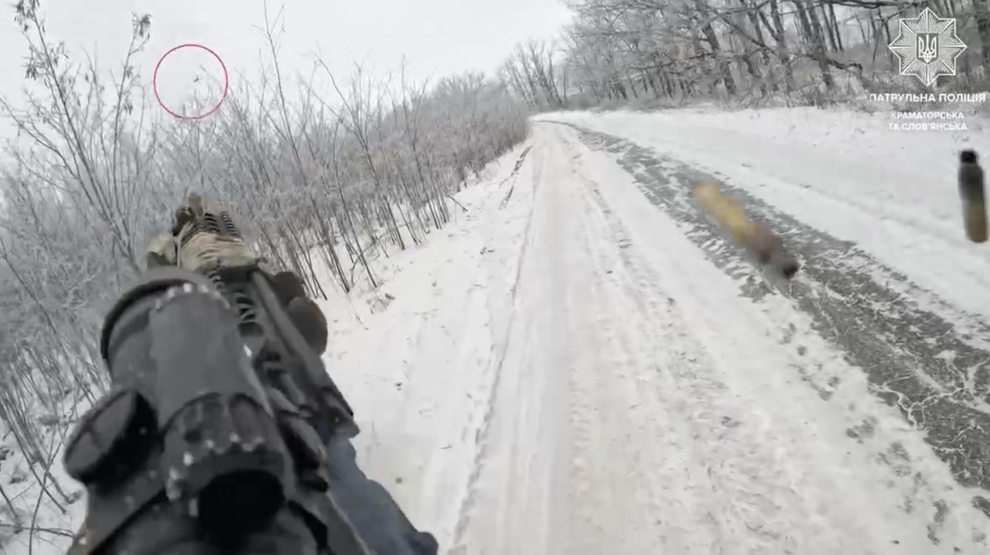 "Затрофеїли": у поліції показали, як антидронові групи збивають ворожі БпЛА на Донеччині. Відео