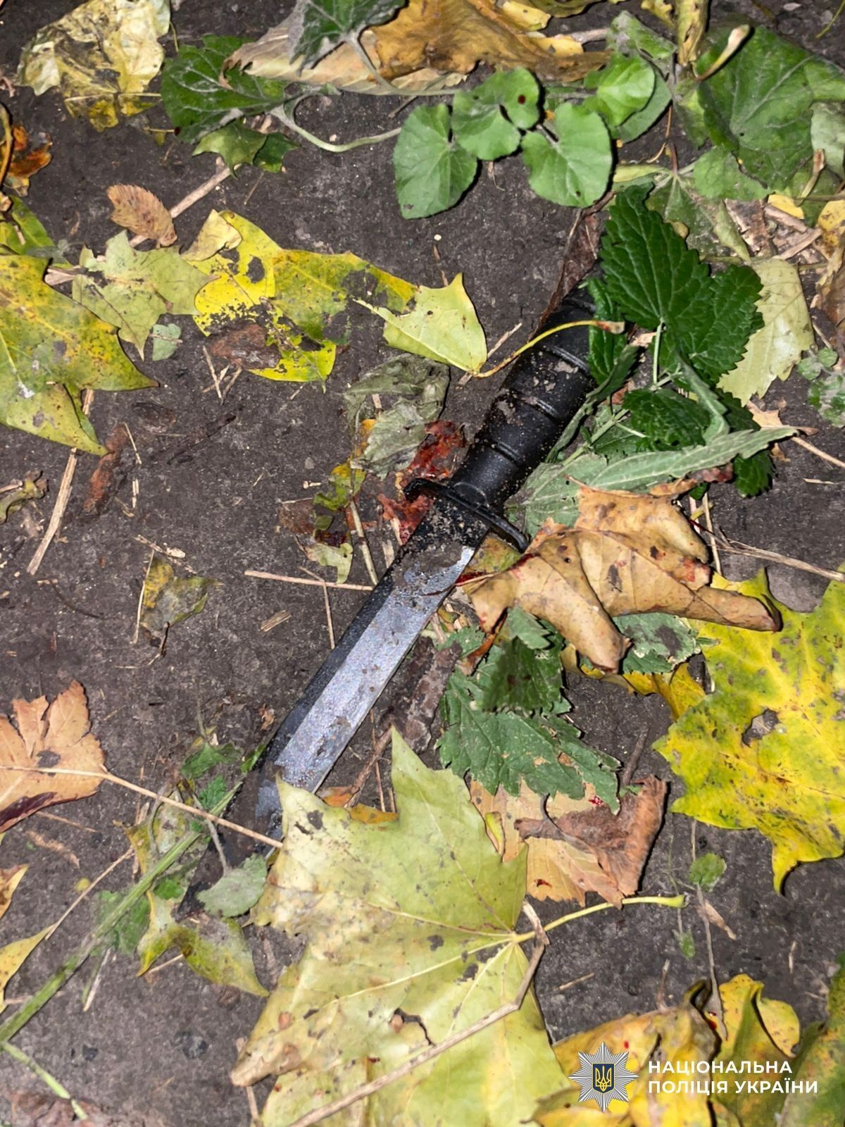 У Києві в історичній частині Подолу чоловік жорстоко вбив перехожого. Подробиці справи та фото