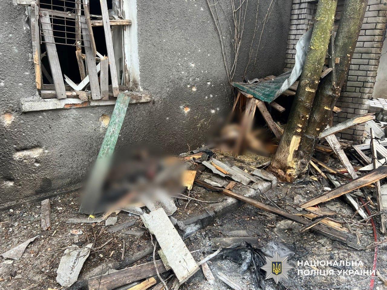 Оккупанты устроили террор в Запорожье: есть раненые, разрушен приют для животных. Фото